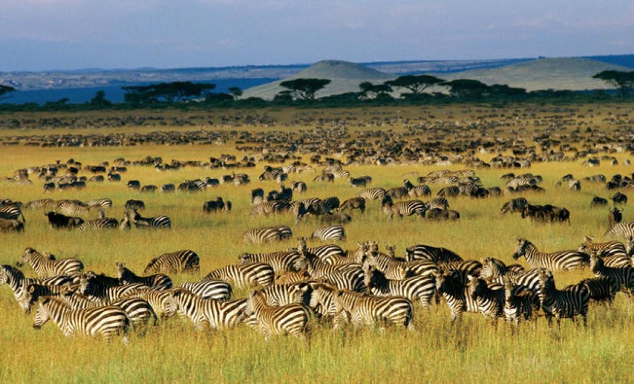 Walabi Mara Hotel Narok Eksteriør bilde